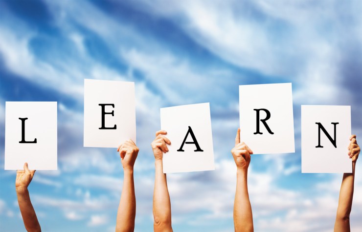 learn-logo1.jpg